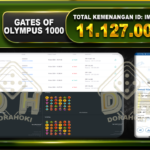 Gates Of Olympus 1000 11.127.000