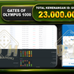 Gates Of Olympus 1000 23.000.000