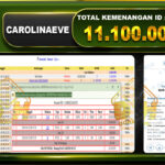 Carolinaeve 11.100.000