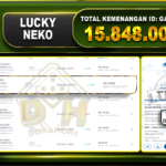 LUCKY NEKO Rp.15.848.000