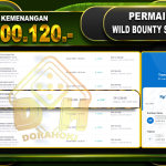WILD BOUNTY SHOWDOWN