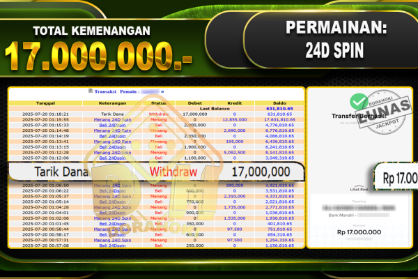 24DSPIN