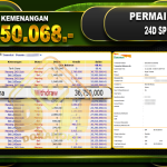 24DSpin