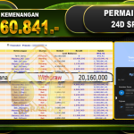 24Dspin