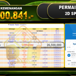 24Dspin