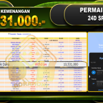 24Dspin