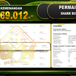 SHARK-BOUNTY